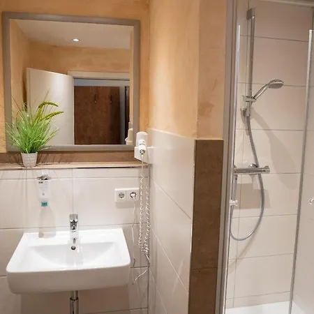Rheinhotel Ruedesheim - Wellness 酒店 3*