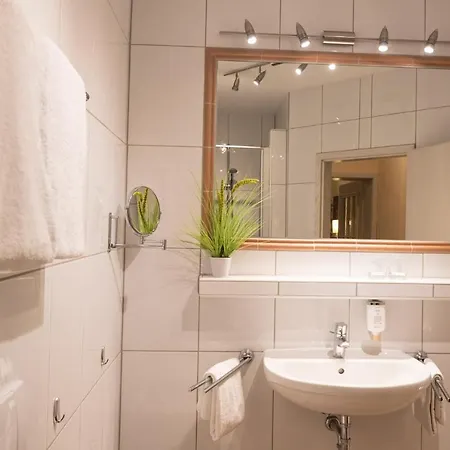 酒店 Rheinhotel Ruedesheim - Wellness
