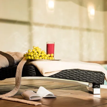 Otel Rheinhotel Ruedesheim - Wellness Rüdesheim am Rhein