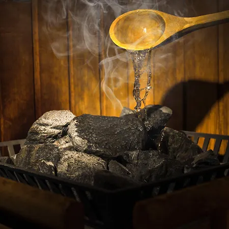 Otel Rheinhotel Ruedesheim - Wellness Rüdesheim am Rhein