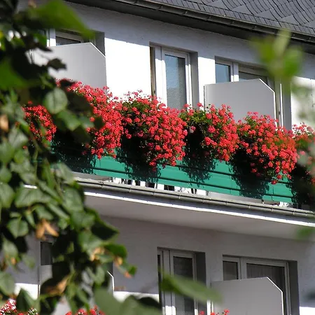 Rheinhotel Ruedesheim - Wellness Hotell 3*