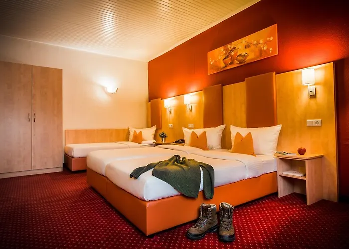 Rheinhotel Ruedesheim - Wellness מלון